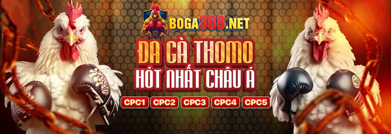 Tổng quan các tính năng trò chơi tại zb368 chính thức
