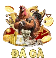 Đá gà tre truyền thống